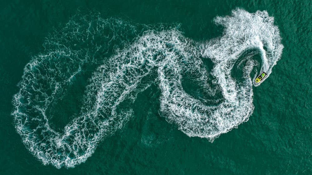 Sea Dragon by Ido Meirovich — canvas wall art