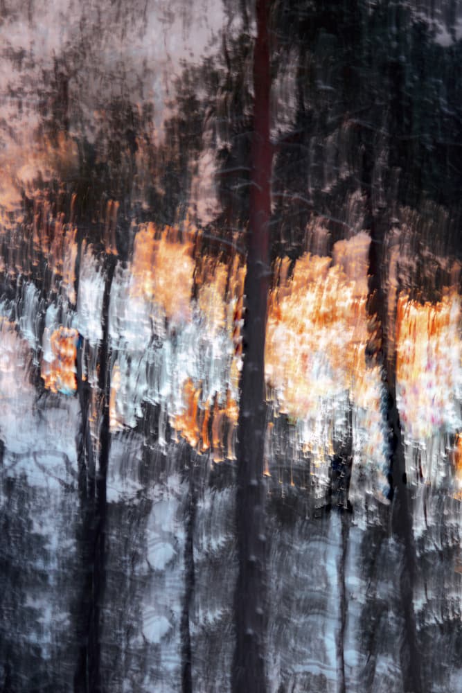 Abstract Forest Light by Christina Sillen — canvas wall art