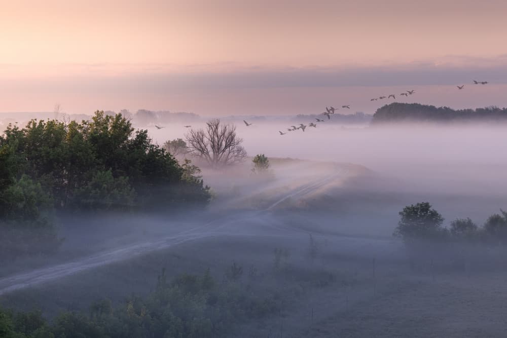 Misty Morning Landscape by Dennis Zhang — canvas wall art