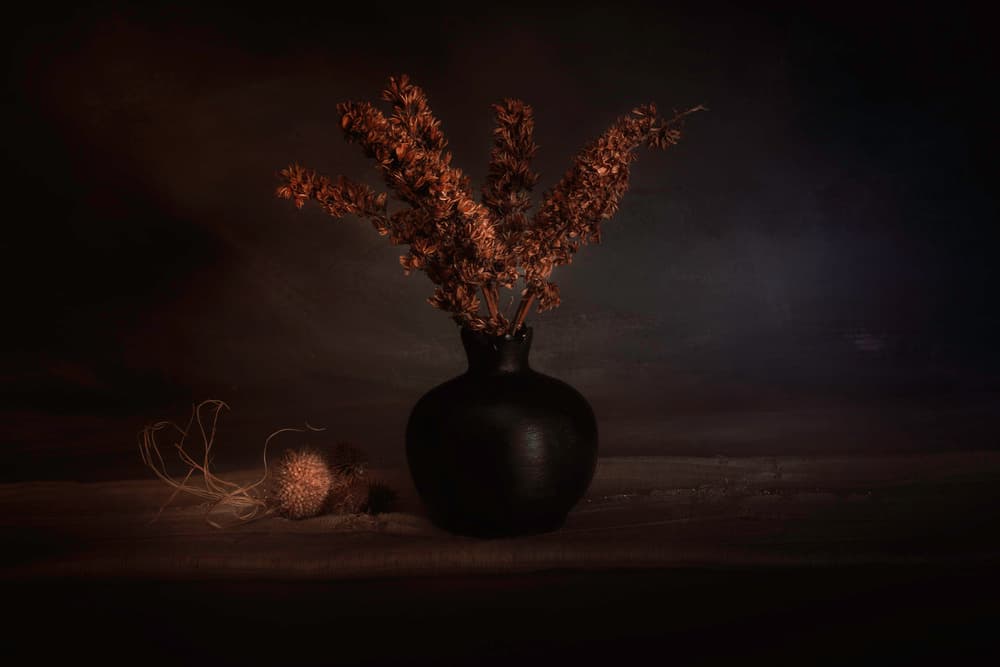 Moody Dried Botanicals by Cicek Kiral — canvas wall art