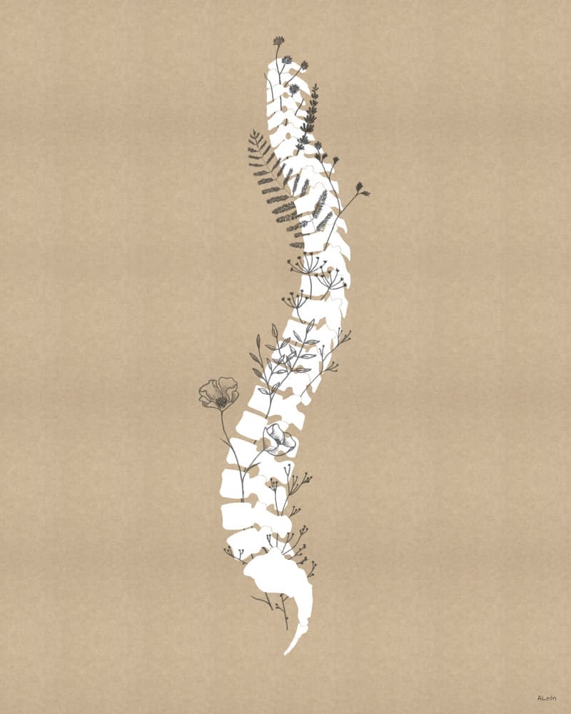 Botanical Spine Growth by Amanda Leon — canvas wall art