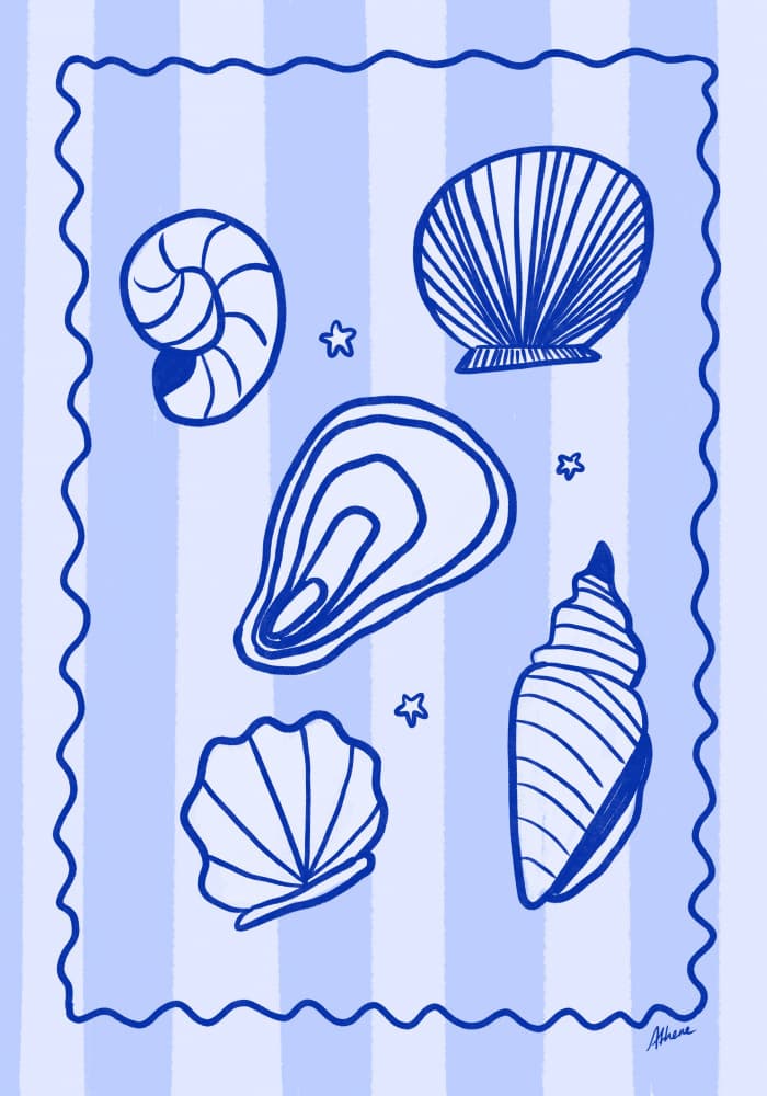 Blue Seashells by Athene Fritsch — canvas wall art