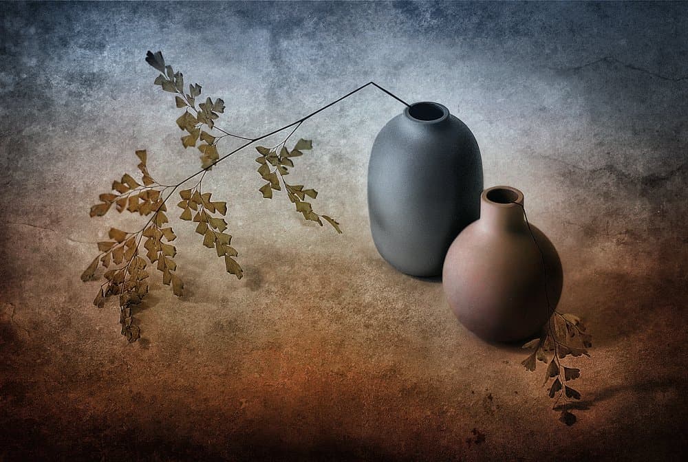 Delicate Fern And Vases by Elena Arjona — canvas wall art
