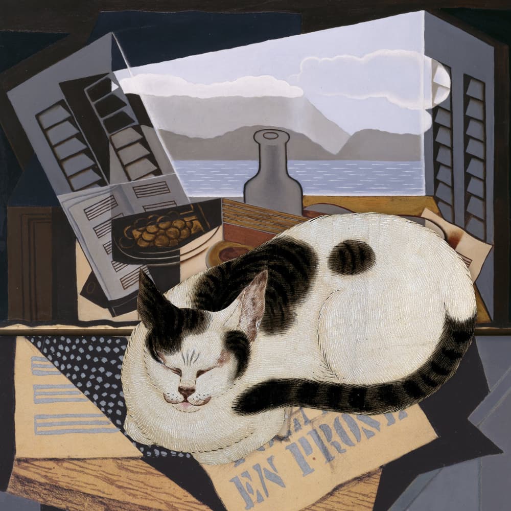 Sleeping Cat Still Life by Marja van den Hurk — canvas wall art