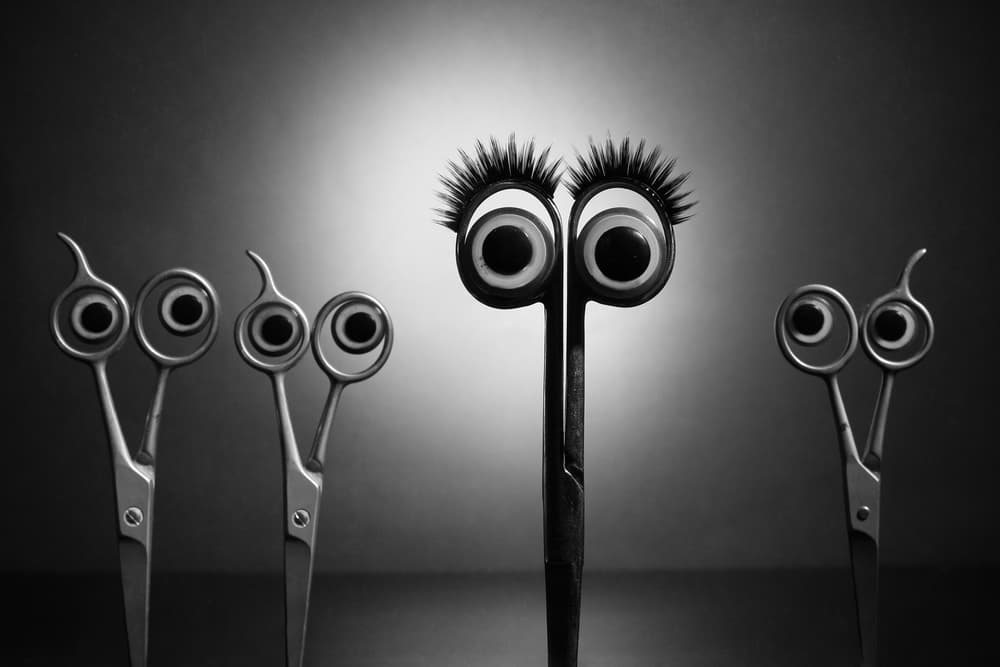 Whimsical Scissor Eyes by Victoria Glinka — canvas wall art