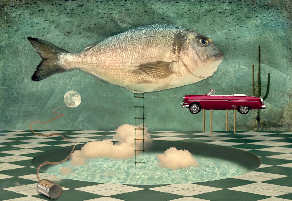 Surreal Fish Dreamscape by Christian MARCEL — canvas wall art