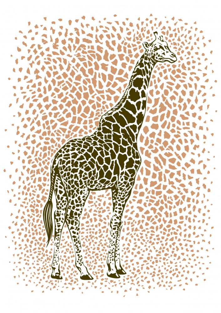 Spotted Giraffe Illustration by Carlo Kaminski — canvas wall art