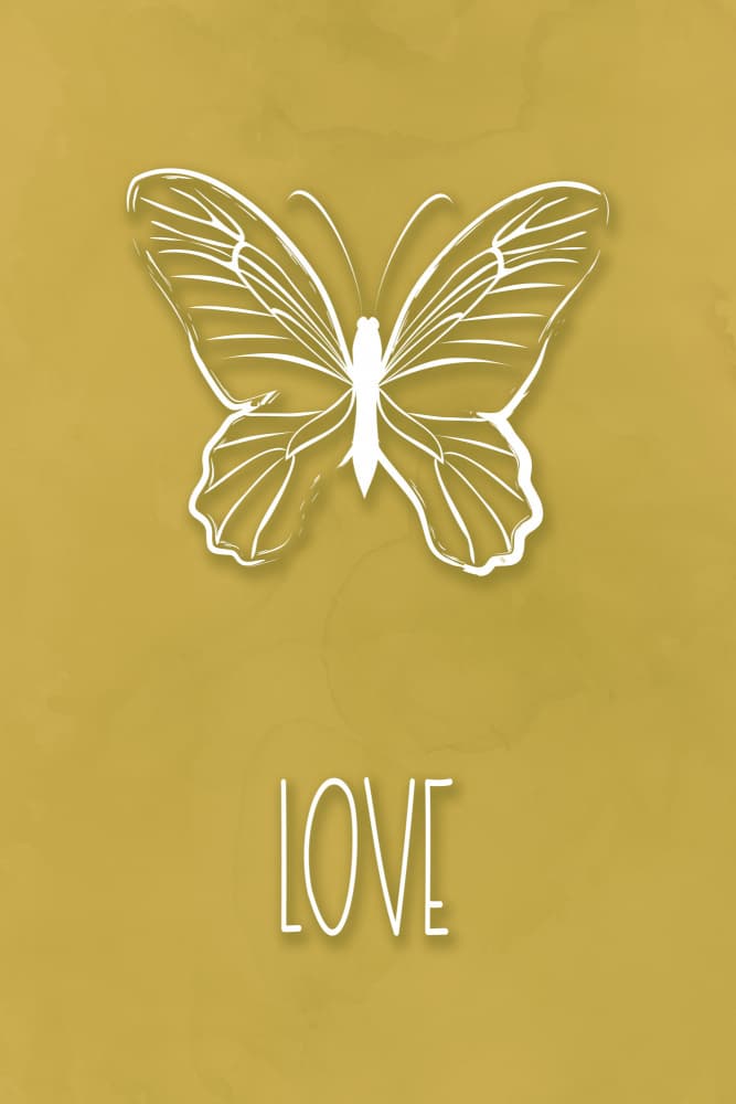 Elegant Love Butterfly by Martina — canvas wall art