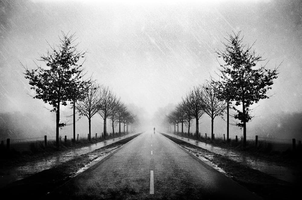 Rainy Road Solitude by Adam Dauria ☂ — canvas wall art