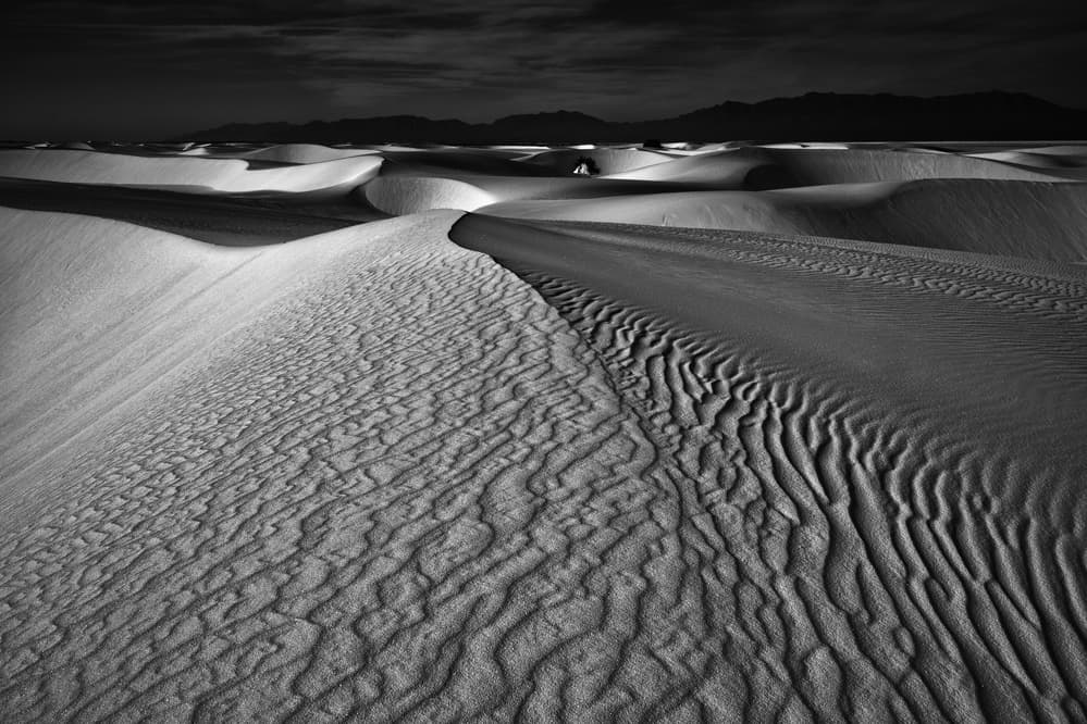 White Sands Desert Dunes by Lydia Jacobs — canvas wall art