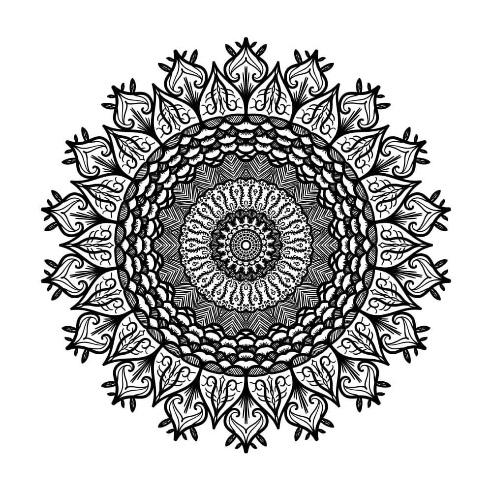 Ornate Mandala Pattern by Marika Barsrsind β canvas wall art