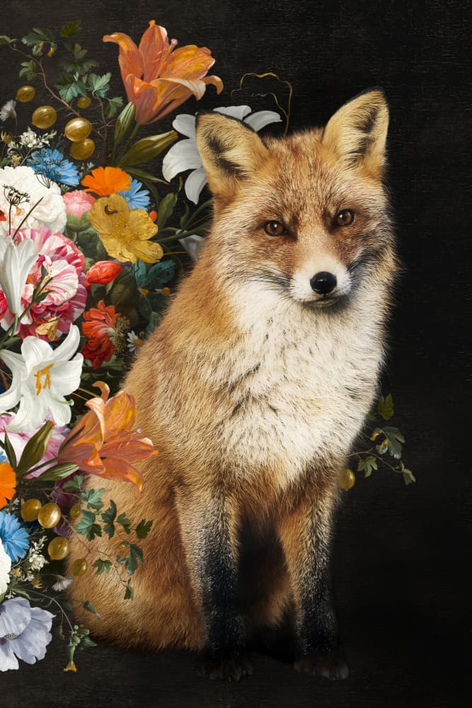 Red Fox and Blooms by Marja van den Hurk — canvas wall art