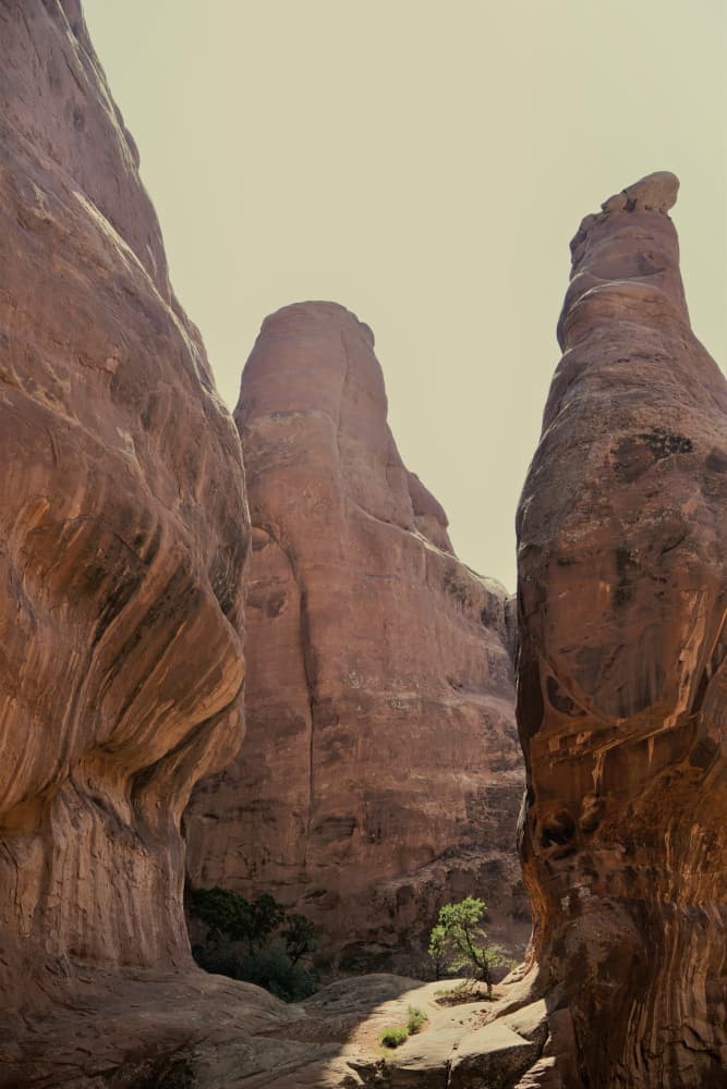 Lone Tree Canyon by Courtney Crane — canvas wall art