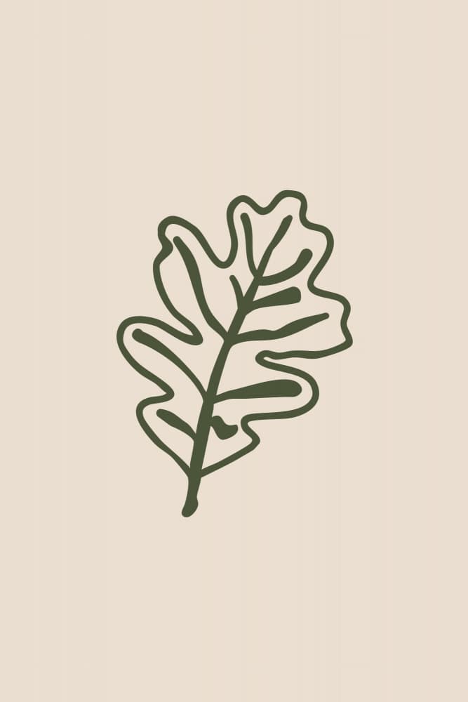 Minimal Oak Leaf by Karen Menzenbach — canvas wall art