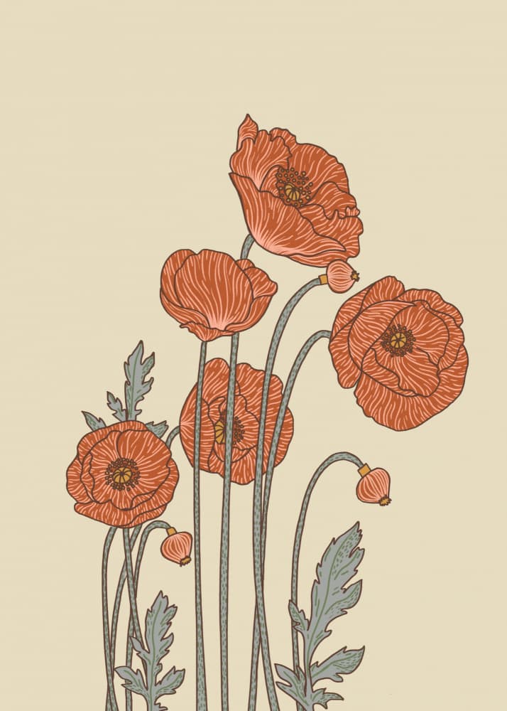 Elegant Poppy Blooms by Elsa Nätterdal — canvas wall art