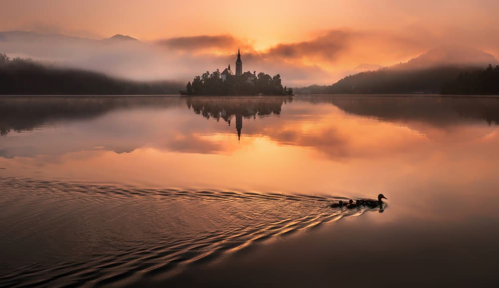 Misty Lake Bled Sunrise by Ales Krivec — canvas wall art