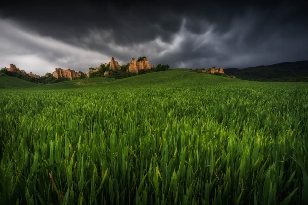 Dramatic Green Fields Sky by Andrea Maestosi — canvas wall art