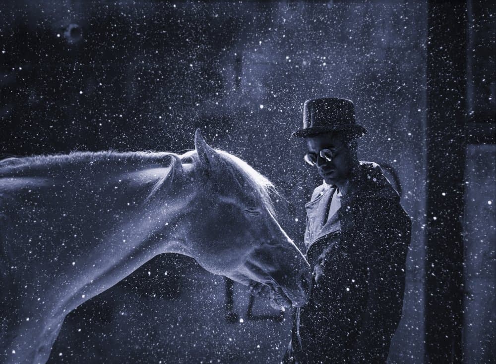 Man Horse Snowy Night by Yuri Shepelev — canvas wall art