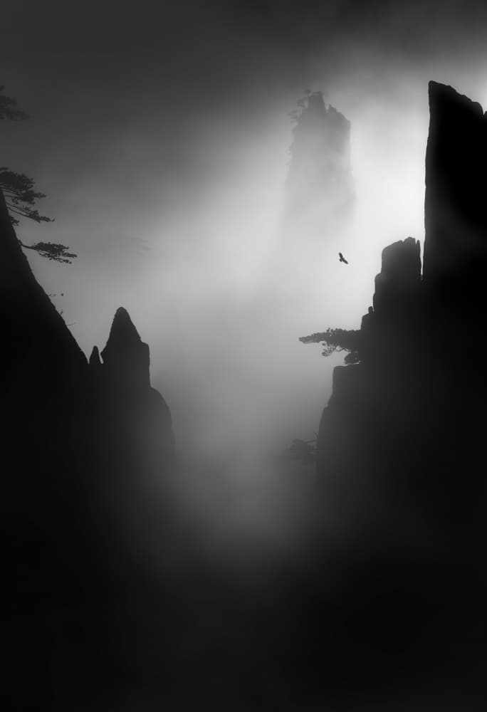 Bird Over Misty Peaks by NingYun Ye — canvas wall art