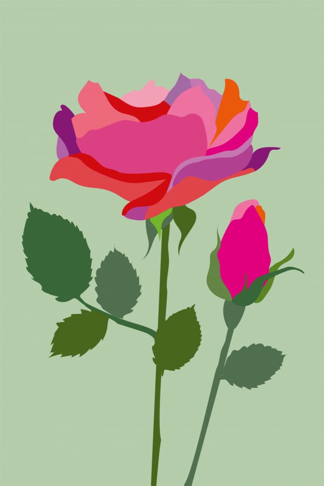 Vibrant Pink Roses by Yvonne Gustafsson — canvas wall art