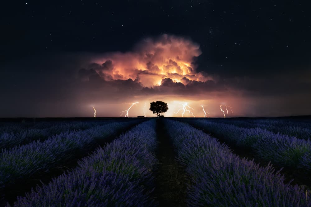 Electric Lavender Storm by César Vega Toledano — canvas wall art