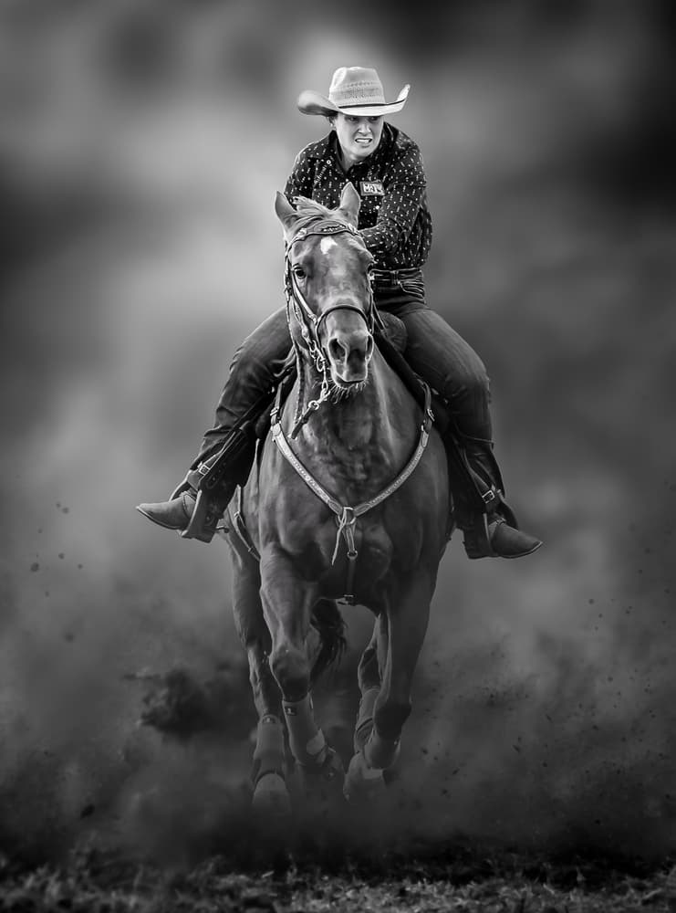 Dynamic Western Ride by Irene Wu — canvas wall art