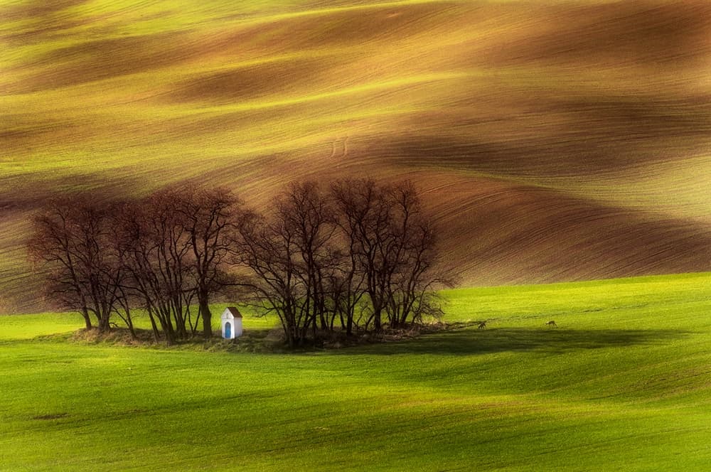 Rolling Fields Solitary Chapel by Piotr Krol (Bax) — canvas wall art