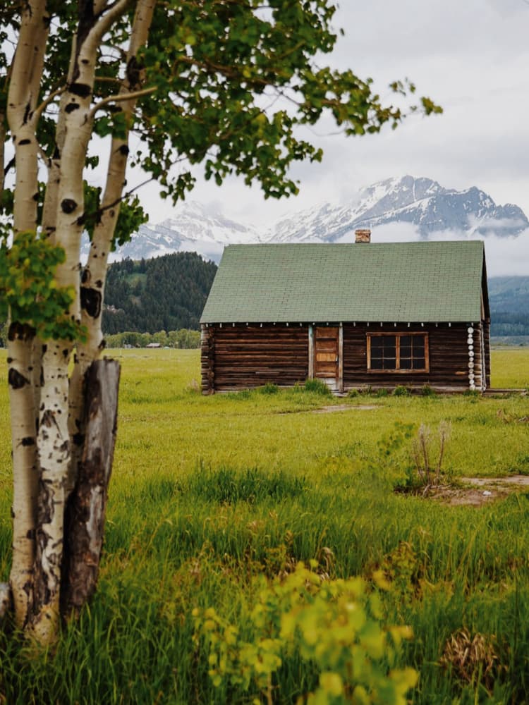 Rustic Cabin Mountain View by Del Mundo Imagery — canvas wall art