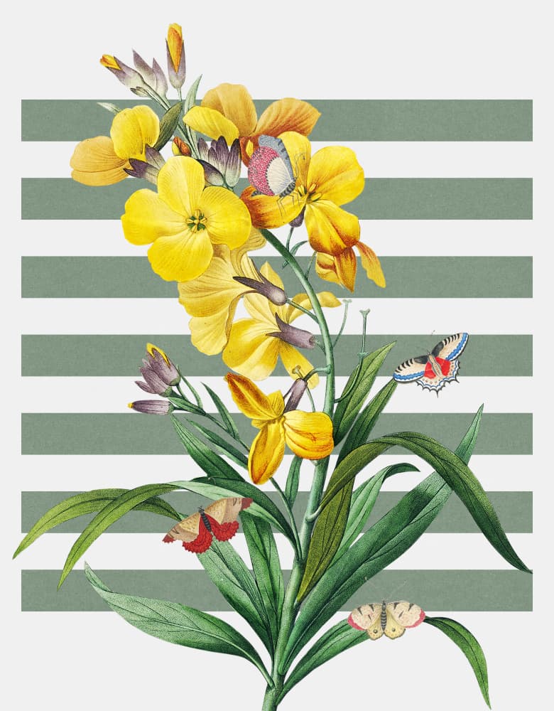 Yellow Blooms and Butterflies by Marja van den Hurk — canvas wall art