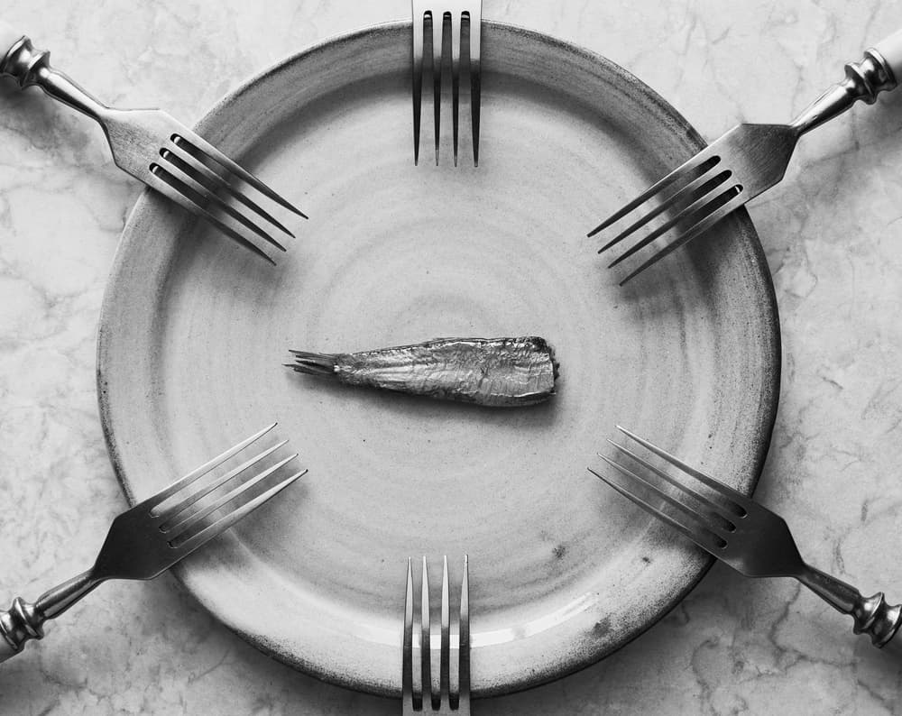 One Fish Many Forks by Karina Aleksandrova — canvas wall art