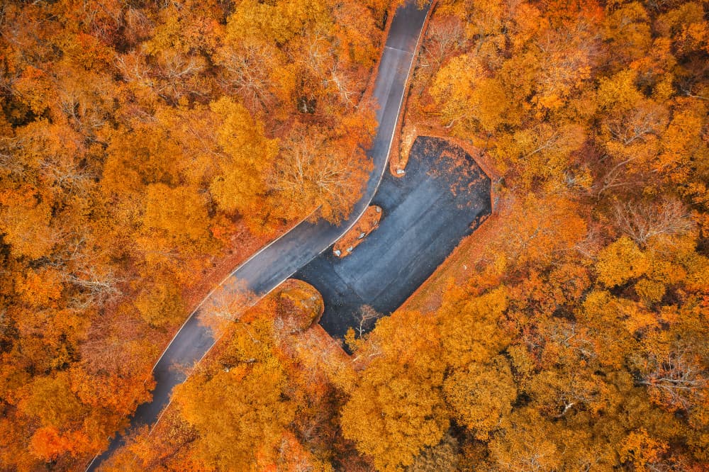 Vibrant Autumn Road by John Fan — canvas wall art