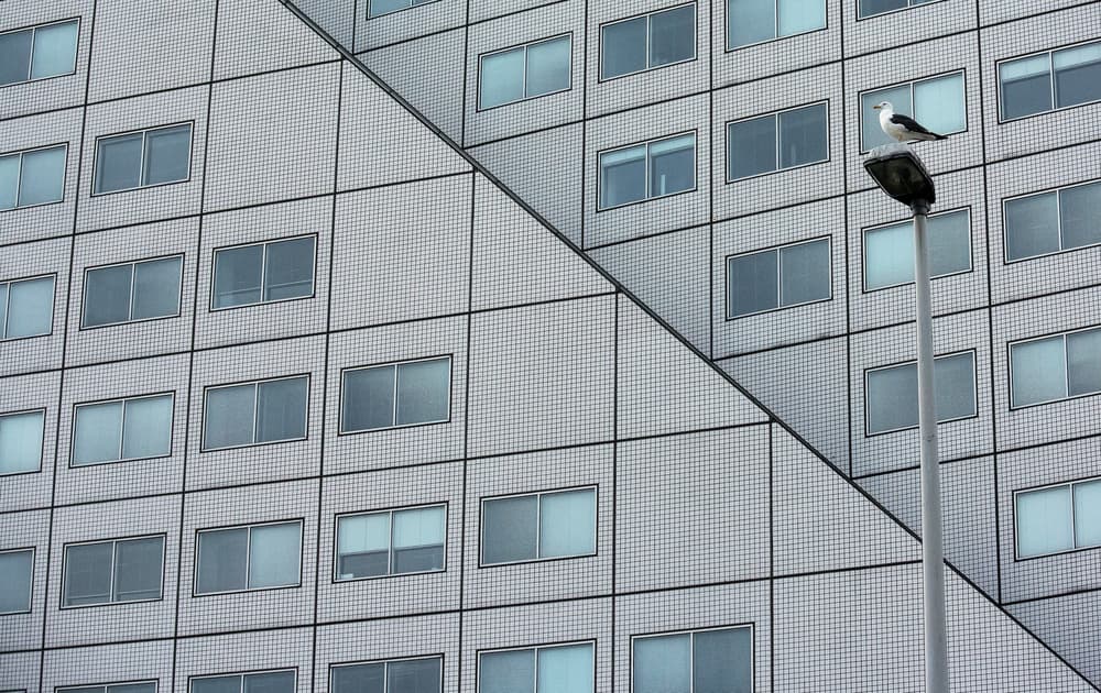 Urban Seagull Architecture by Lus Joosten — canvas wall art