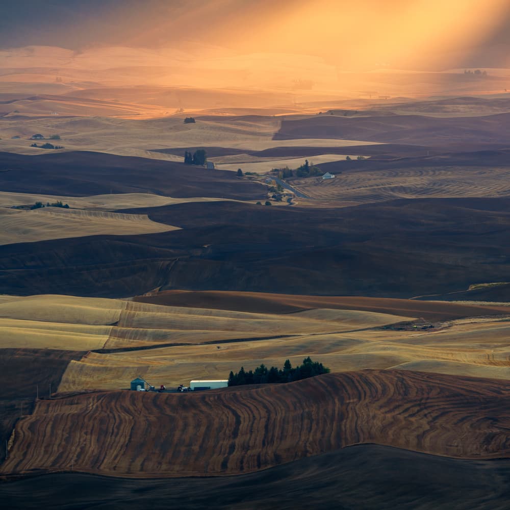 Rolling Hills Golden Light by John Fan — canvas wall art