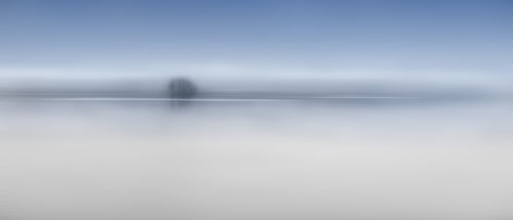 Distant Tree Reflection by Shenshen Dou — canvas wall art