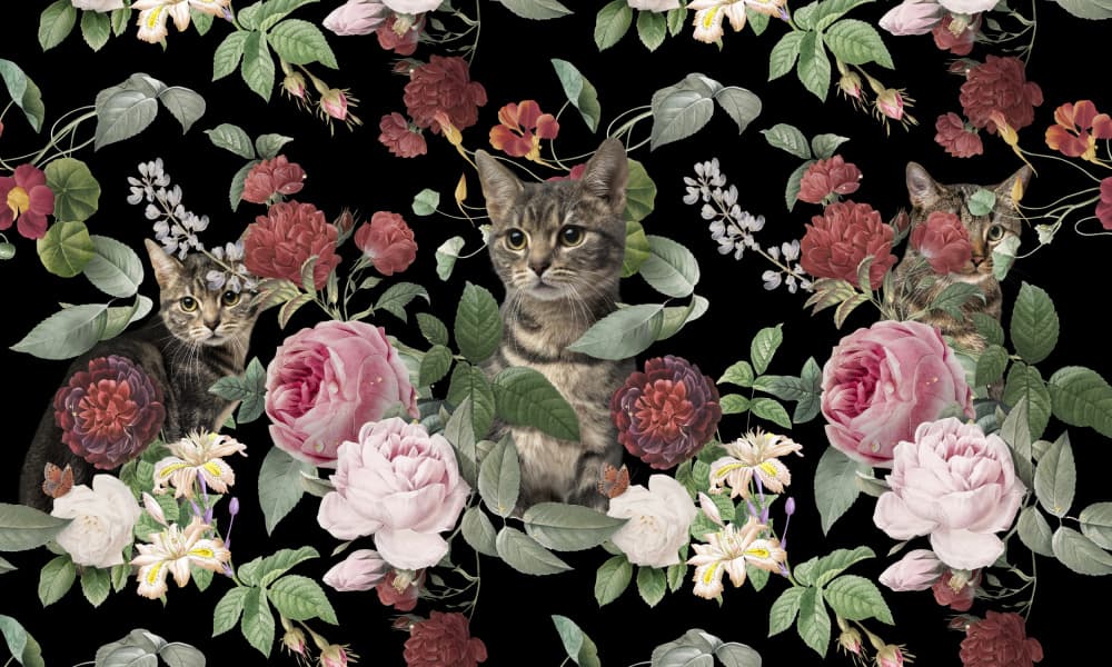 Cats Among Roses by Marja van den Hurk — canvas wall art