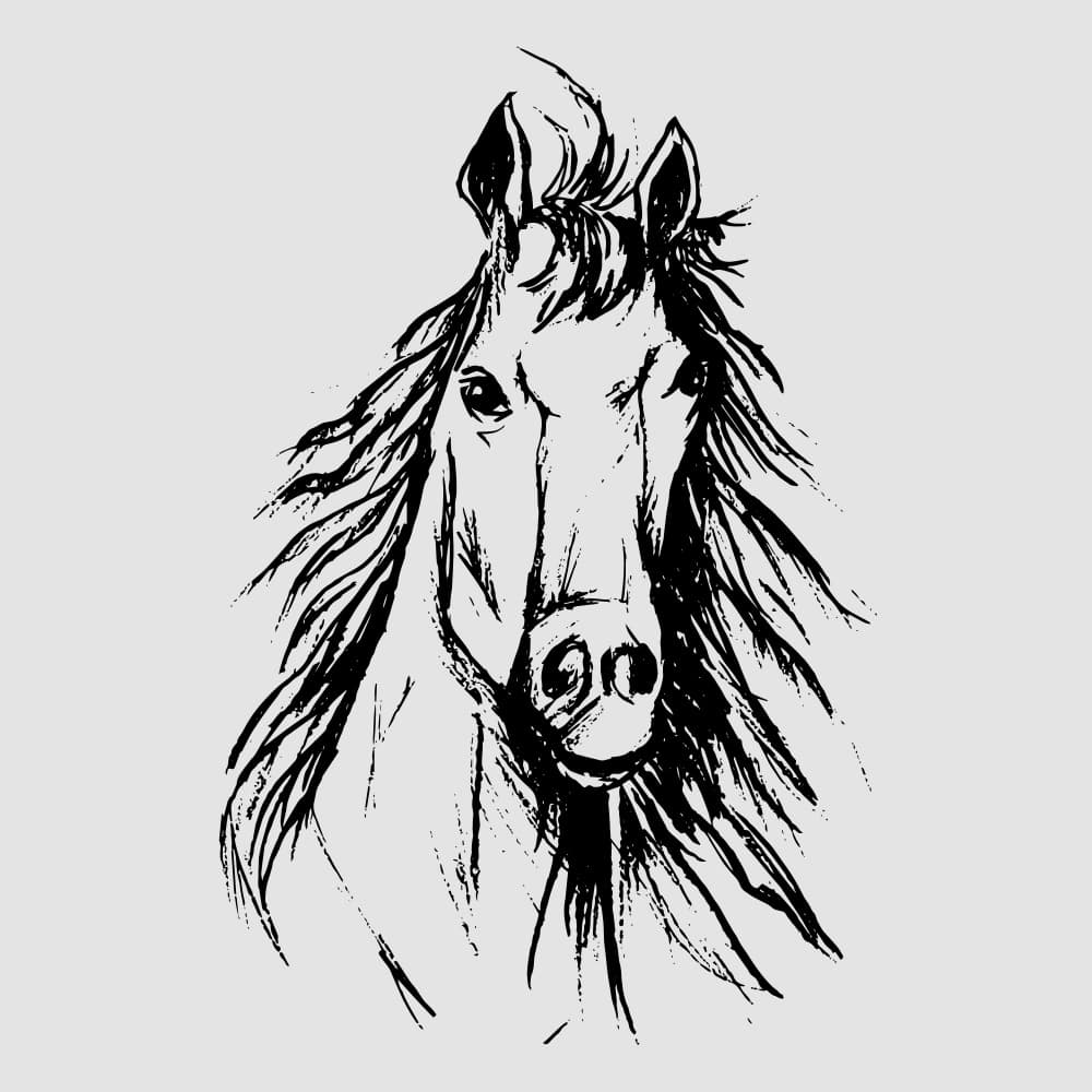 Wild Horse Spirit by Marika Barsrsind β canvas wall art