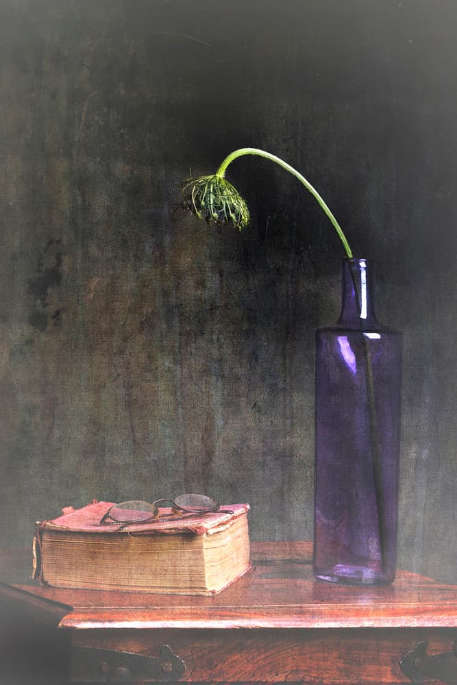 Wilted Bloom and Book by Eyal Amer — canvas wall art