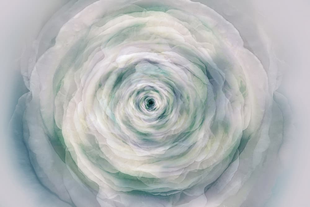 Swirling Floral Abstract by Ludmila Shumilova — canvas wall art