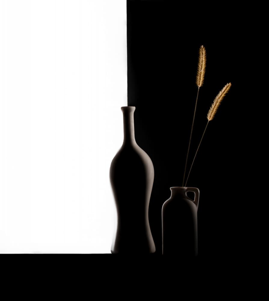 Dark Light Vases Grass by Margareth Perfoncio — canvas wall art