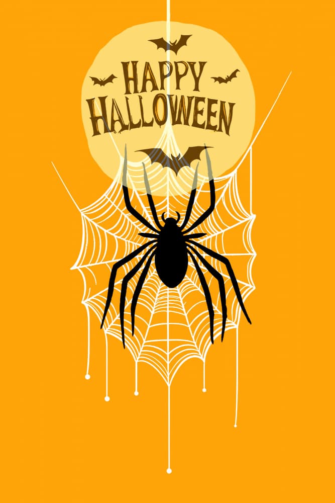 Happy Halloween Spiderweb by casa cartissi — canvas wall art