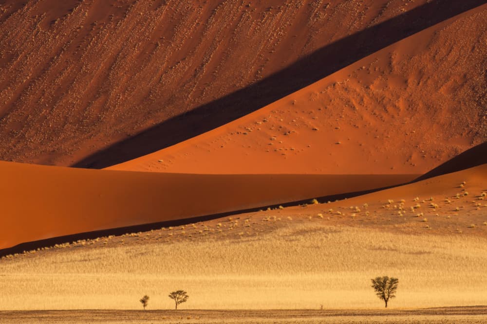 Golden Dunes and Desert Shadows by Johan Enslin — canvas wall art