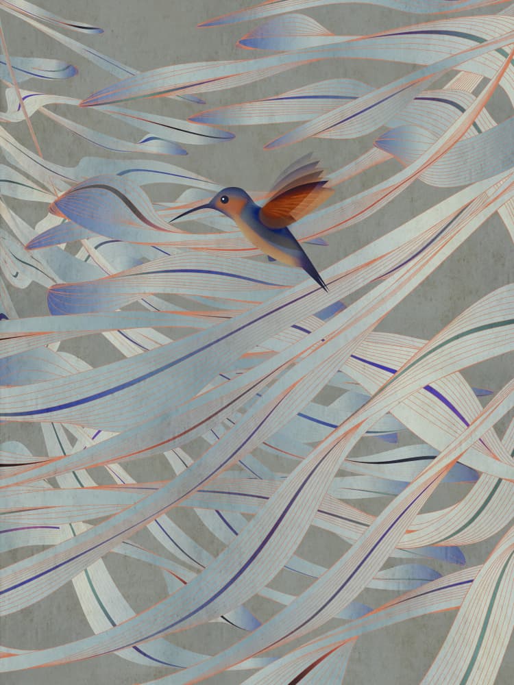 Graceful Hummingbird Flight by Angelo Cerantola — canvas wall art
