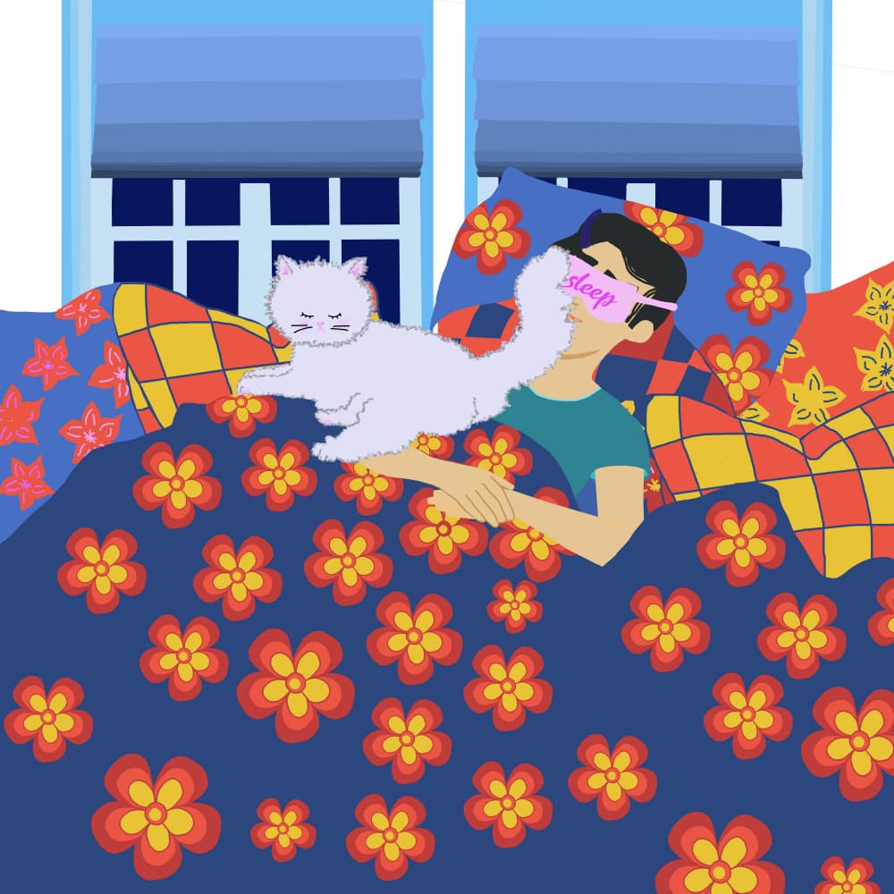 Sleeping Cat's Companionship by Lynnda Rakos — canvas wall art