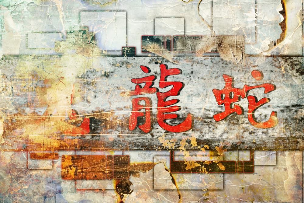 Oriental Dragon Snake Art by Rafal Kulik — canvas wall art