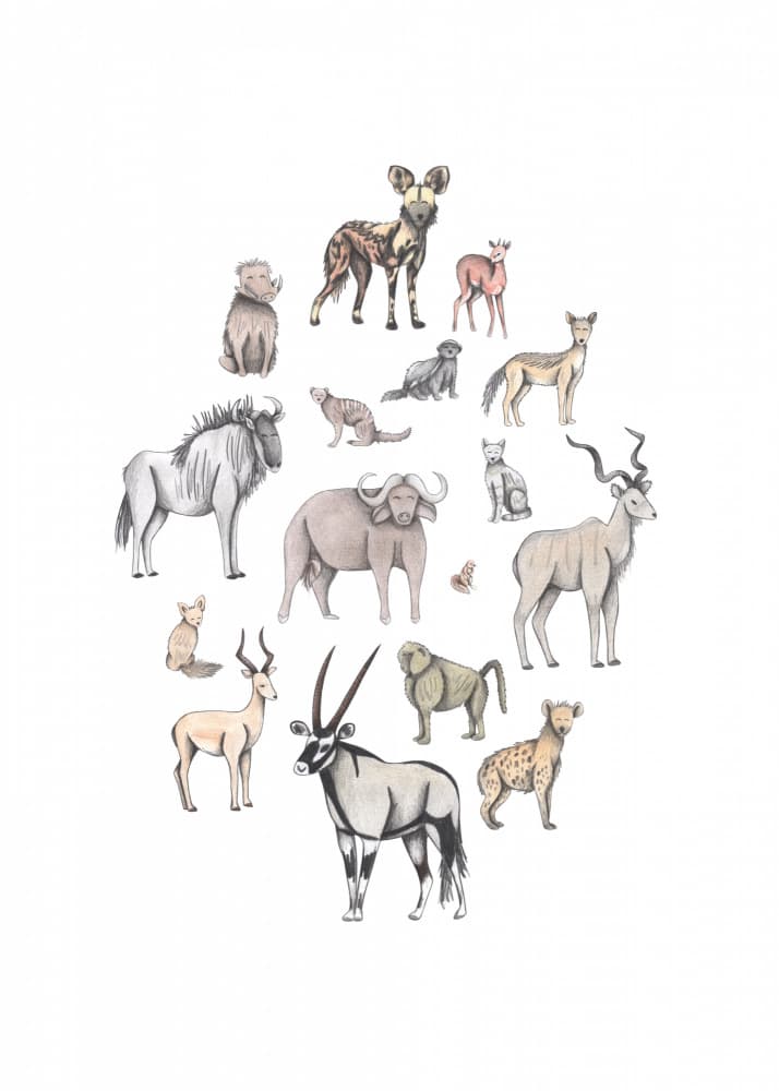Africa Animals by Cecilia Battaini — canvas wall art