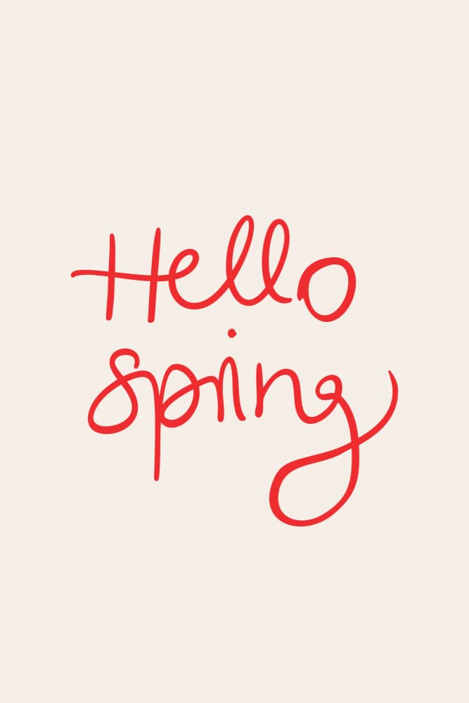 Hello Spring by Karen Menzenbach — canvas wall art