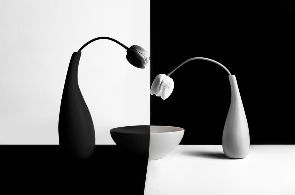 Black White Tulip Contrast by John-Mei Zhong — canvas wall art