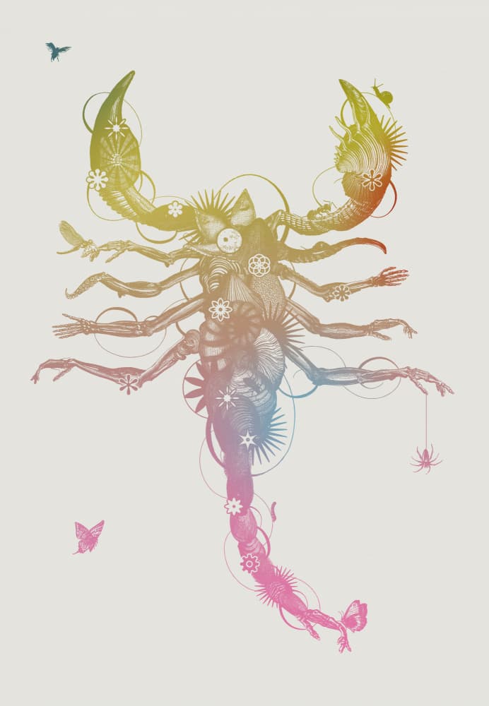 Anatomical Rainbow Scorpion by Jaco Putker — canvas wall art