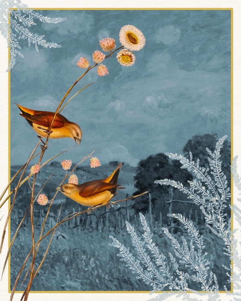 Field Birds Blue Sky by Wild Violets — canvas wall art