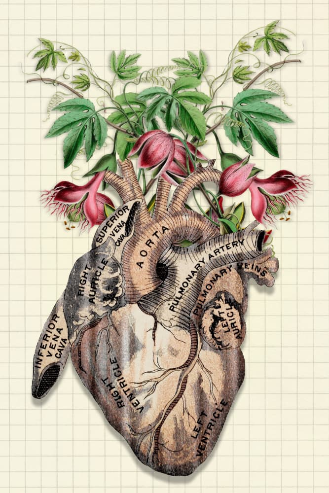 Flowering Anatomical Heart by Marja van den Hurk — canvas wall art